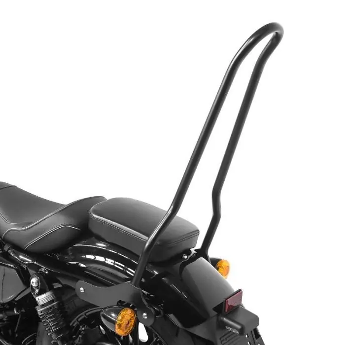 Goedkoop Sissybar passend voor Harley Davidson Sportster 883 Superlow 11-20 Craftride Tampa