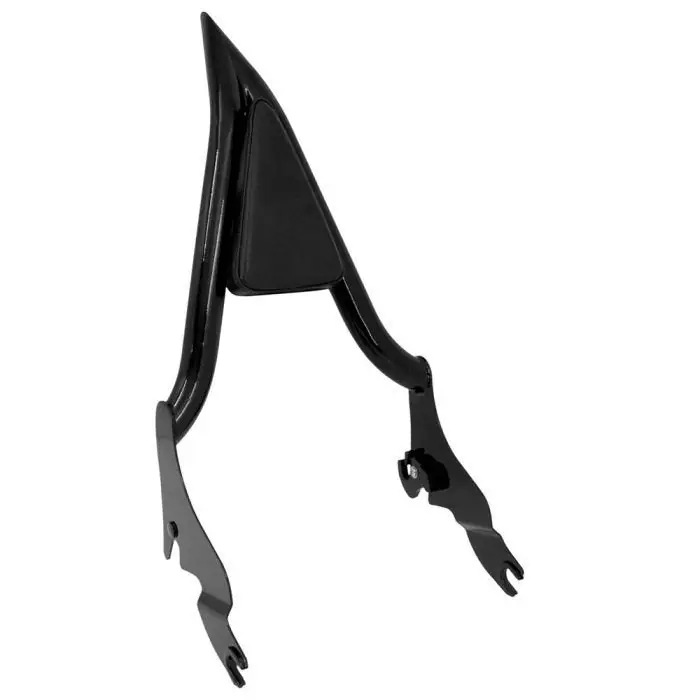 Sissy Bar passend voor Harley Davidson CVO Street Glide 11-25 Craftride PV1 Direct Verzonden