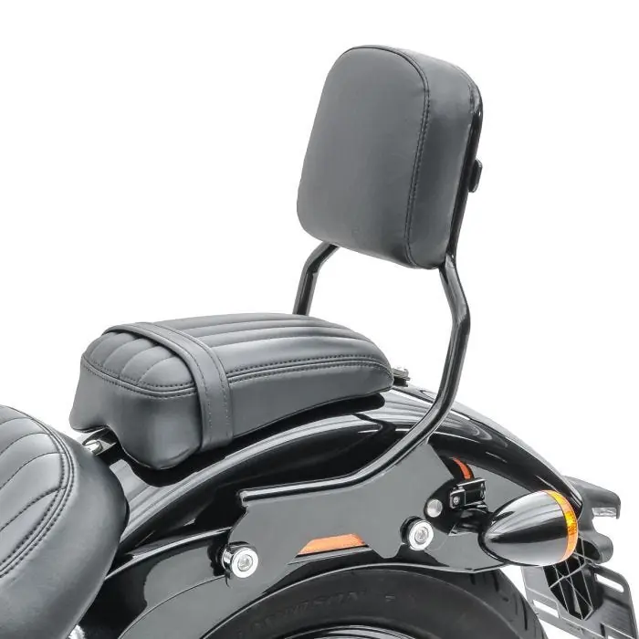 Koop Vandaag Sissybar passend voor Harley Davidson Heritage Softail Classic 18-19 afneembar Craftride R1S