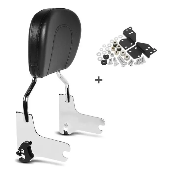 Veilige Betaling Sissybar passend voor Harley Davidson Road King Classic 98-06 Craftride Fast Driver-M chroom