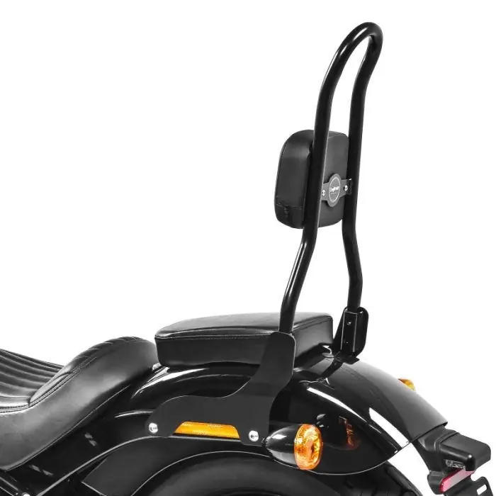 Op = Op Sissybar CSL Fix passend voor Harley Davidson Heritage Softail Classic 114 18-25 zwart Craftride