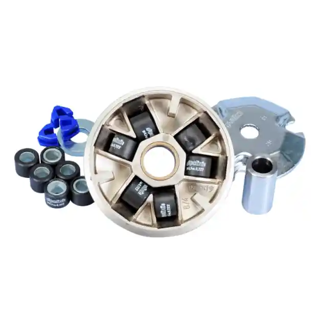 Polini - VariateursetSpeed Control Malaguti Phantom F12 (Vanaf 2000) Uitverkoop