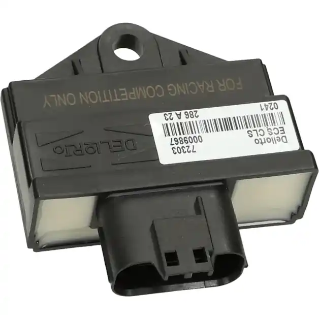 Express Levering Dellorto - ECU ECSonbegrensd50cc 4 Takt Euro5