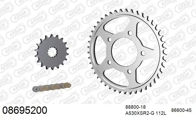 Betrouwbaar AFAM - 530XSR2 112 MRS - Chain Kits - Goud en Staal