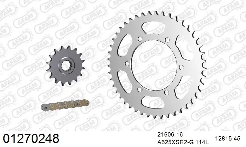 Trendy AFAM - 525XSR2 114 MRS (RIVET) GOLD & SPROCKETS - STEEL