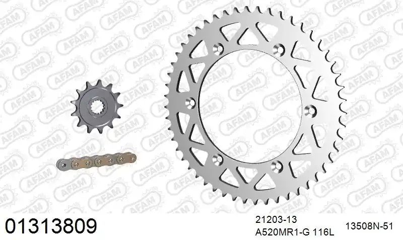 AFAM - 520MR2 116 ARS (CLIP) GOLD & SPROCKETS - Chain Kits - ALU Authentiek