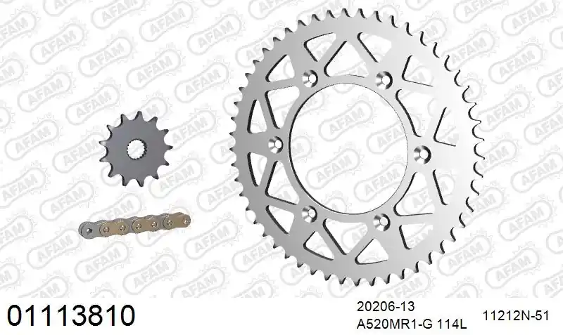 Lage Kosten AFAM - 520MR2 114 ARS (CLIP) GOLD & SPROCKETS - Chain Kits - ALU