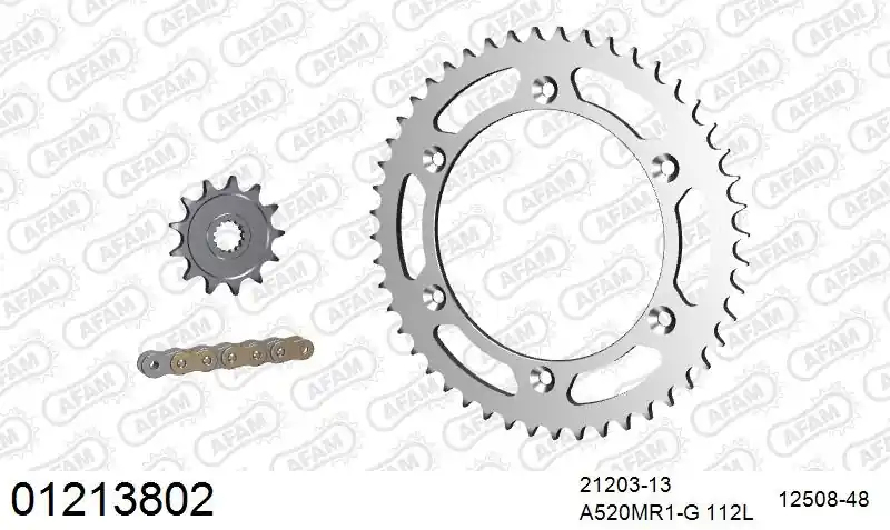 AFAM - 520MR2 112 ARS (CLIP) GOLD & SPROCKETS - STEEL Beperkt Aanbod