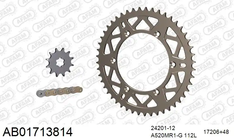 Koop Vandaag AFAM - 520MR2 112 ARS (CLIP) GOLD & SPROCKETS - Chain Kits - ALU