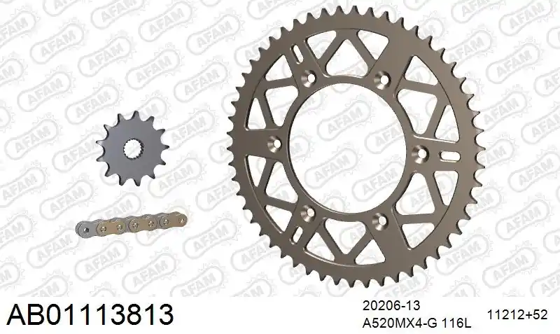 Lage Prijs AFAM - 520MR2 116 ARS (CLIP) GOLD & SPROCKETS - Chain Kits - ALU
