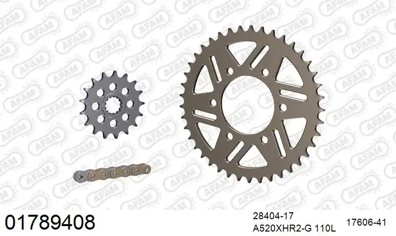 AFAM - 520XHR2 110 MRS (RIVET) GOLD & SPROCKETS - ALU Premium
