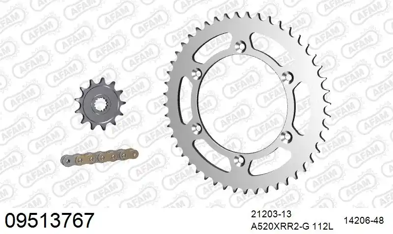 Koopje AFAM - 520XRR3 112 ARS (CLIP) GOLD & SPROCKETS - STEEL