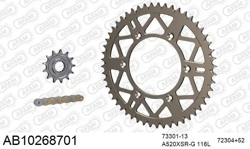 Premium AFAM - 520XSR 116 MRS (RIVET) GOLD & SPROCKETS - Chain Kits - ALU