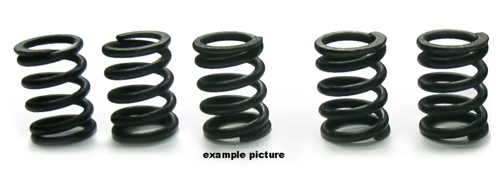 Uitverkoop TOURMAX - HSP-406-5 - Clutch Spring Sets - Kwaliteit en Betrouwbaarheid
