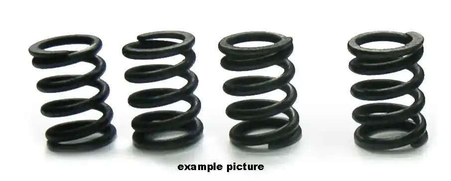 Hete Deal TOURMAX - HSP-302-4 - Clutch Spring Set - Kwaliteitsonderdeel