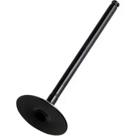 Nu Kopen Hot Cams Stalen Inlaatklep Beta RR400 RR450 RR525 2006-2009 KTM EXC400 2000-2007 EXC450 2003-2007 EXC520 MEXC400 SX520 2001-2002 EXC525 2002-2007 EXC-F450 2007 MXC450 2003-2004 SX400 2000-2002 SX450 2003 SX525 2003-2006 SXS540 2001-2004