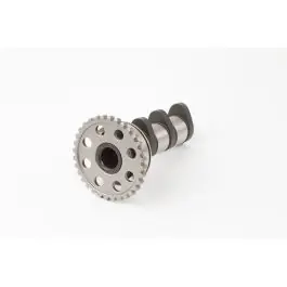 Hotcams Stage 1 Inlaat Nokkenas Yamaha WR450F 2003-2015 YFZ450 YFZ450R 2004-2009 YZ450F YZ450F 2003-2006 Lage Prijs