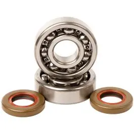 Favoriet Hotrods Krukaslagers & Keerringen KTM SX65 SX 2003-2008