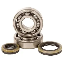 Topkwaliteit Hotrods Krukaslagers & Keerringen Suzuki RM85 2002-2014