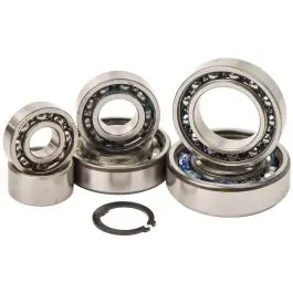 Hotrods Versnellingsbak Lagerset Kawasaki KX80 1998-2000 In De Mode